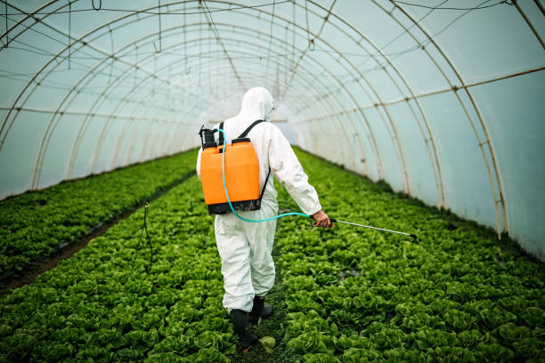Best Pest Removal Services  in Overlea, MD