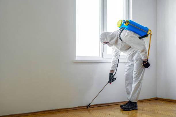 Best Rat Extermination Near Me  in Overlea, MD