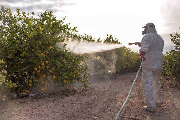 Best Best Pest Control Companies  in Overlea, MD