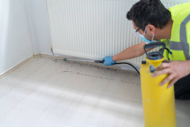 Best Mosquito Control Services  in Overlea, MD